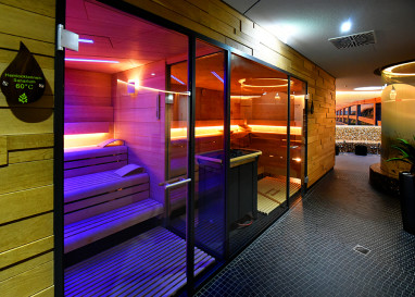Bio-Seehotel Zeulenroda: Wellness/Spa
