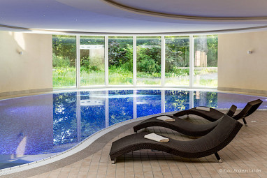 Dorint Herrenkrug Parkhotel Magdeburg: Pool