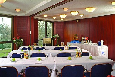 Maritim Hotel Bad Homburg: Tagungsraum