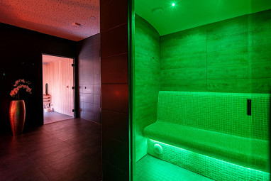 PLAZA Premium Darmstadt: Wellness/Spa