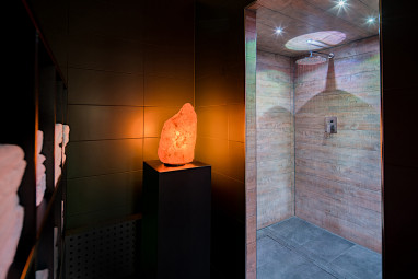 PLAZA Premium Darmstadt: Wellness/Spa