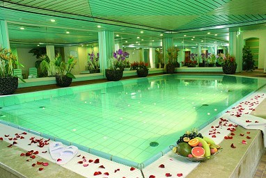 Maritim Hotel Mannheim: Pool