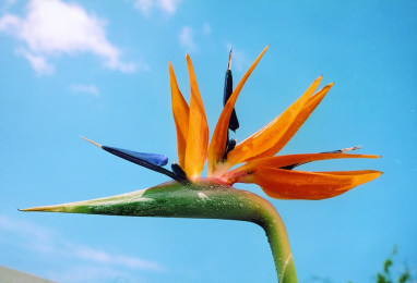 Park Hotel Fasanerie Neustrelitz: Freizeit