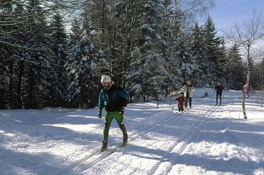 Naturhotel Lindenhof Holzhau: Freizeit