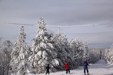 Naturhotel Lindenhof Holzhau: Freizeit