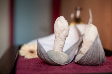 centrovital Hotel: Wellness/Spa