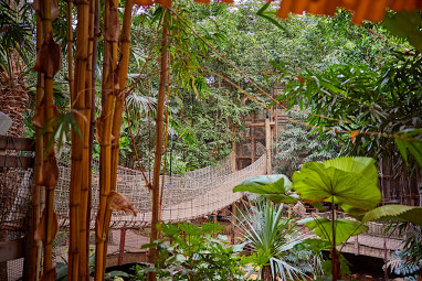 Center Parcs Het Heijderbos: Freizeit