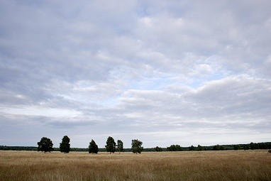 Hotel CAMP REINSEHLEN: Sonstiges