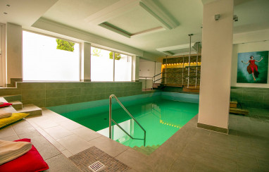 Hotel Haverkamp: Pool