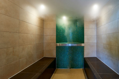 Holiday Inn Berlin Airport Conference Centre: Wellness/Spa