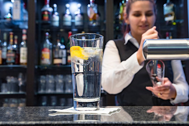 Garner Hotel Berlin - Checkpoint Charlie: Bar/Lounge