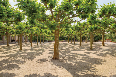 Dolce by Wyndham Bad Nauheim : Freizeit