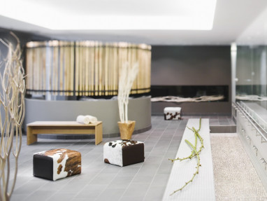 Mövenpick Hotel Stuttgart Airport  by Revo: Wellness/Spa