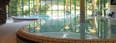 Hotel Villa Hammerschmiede: Pool