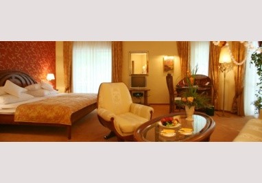 Hotel Villa Hammerschmiede: Tagungsraum