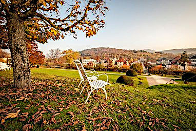 Dorint Resort & Spa Bad Brückenau: Freizeit