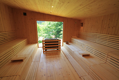 Ringhotel Siegfriedbrunnen: Wellness/Spa