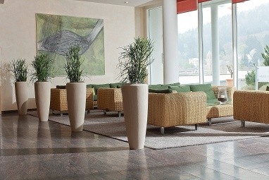 SCHWARZWALD PANORAMA: Lobby