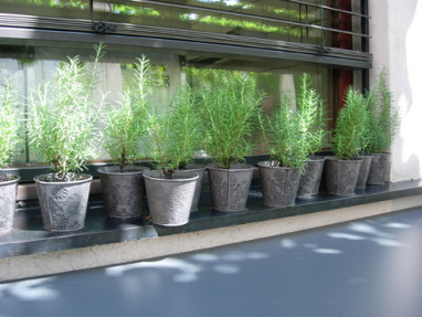 Hotel Gloria: Sonstiges