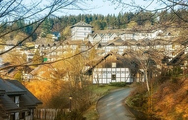 Dorint Resort Winterberg: Außenansicht