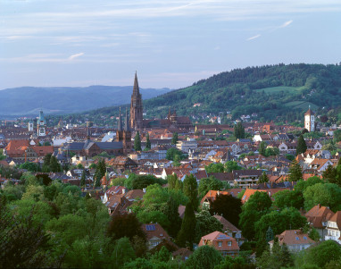 Dorint Thermenhotel Freiburg: Freizeit