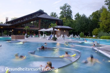 Dorint Resort An den Thermen Freiburg: Pool