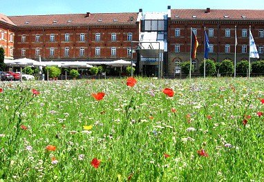 nestor Hotel Ludwigsburg : Außenansicht