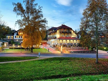 PARK HOTEL BAD SALZIG / PARK VILLA: Außenansicht