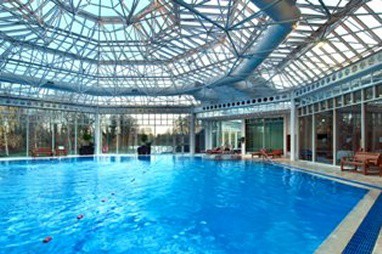 HILTON BIRMINGHAM METROPOLE: Pool