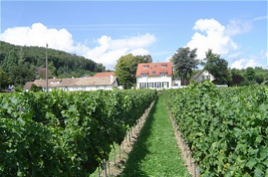 Weinhotel Annaberg: Außenansicht