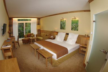 Waldhotel Tannenhäuschen: Tagungsraum