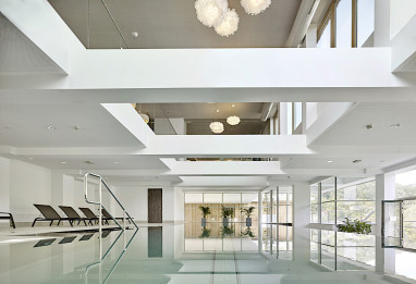 Steigenberger Hotel & Spa Krems: Pool