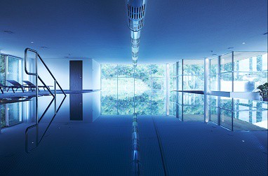 Steigenberger Hotel and Spa Krems: Pool