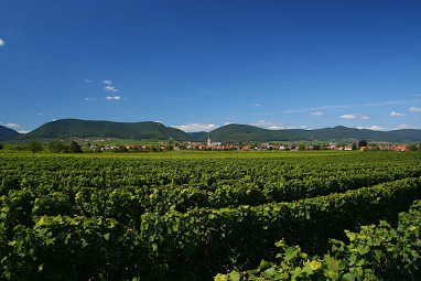 Hotel Schloss Edesheim: Außenansicht