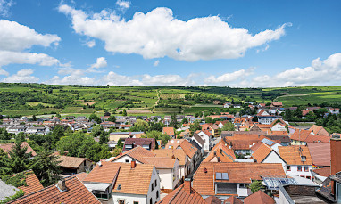 Pfalzhotel Asselheim: Außenansicht