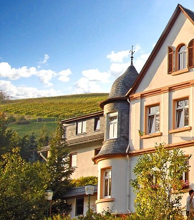 Hotel & Restaurant Weinberg-Schlösschen: Außenansicht