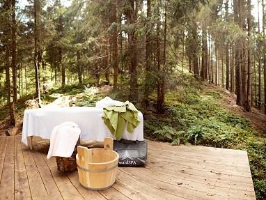 Hotel Forsthofgut: Wellness/Spa