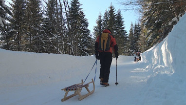 Berggasthof Obere Firstalm: Freizeit