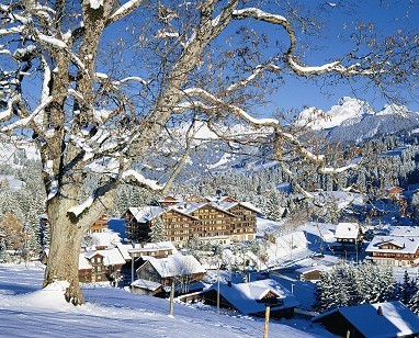 Golfhotel Les Hauts de Gstaad & SPA: Außenansicht