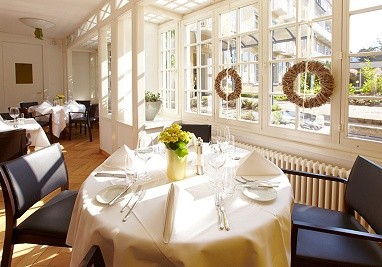 Hotel Schützen Rheinfelden: Tagungsraum