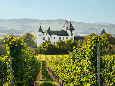Victor´s Residenz-Hotel Schloss Berg: Außenansicht