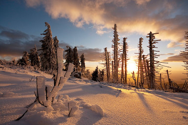 Natur- und Sporthotel Zuflucht: Freizeit