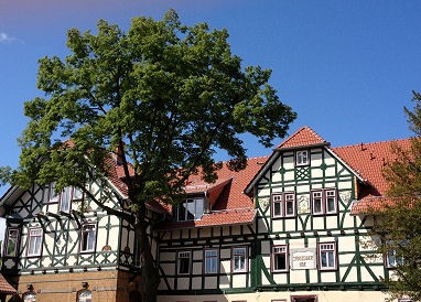 Rhönhotel Sächsischer Hof : Außenansicht