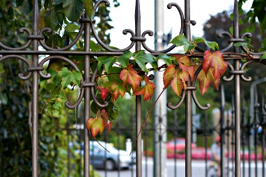 L´AUBERGE LANGENTHAL: Außenansicht