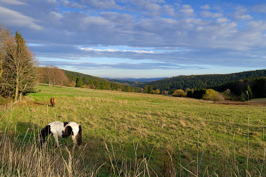 Hotel Kammweg am Rennsteig: Sonstiges
