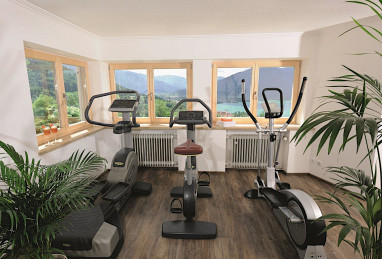 Hotel Der Westerhof: Fitness-Center