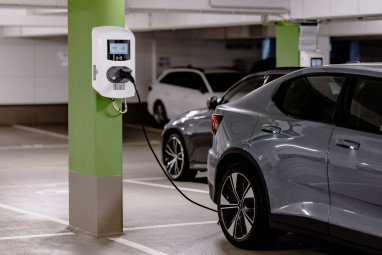 THE FLAG München M.: Sonstiges