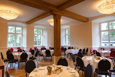 Hotel Brunnenhaus Schloss Landau: Tagungsraum