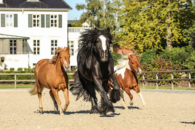Hotel Gut Immenhof: Freizeit