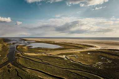 Urban Nature Hotel: Fitness-Center